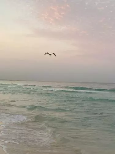 Tulum-Strand mit Pelican.JPG