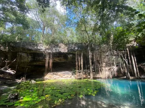 Cenote X`Batun.JPG