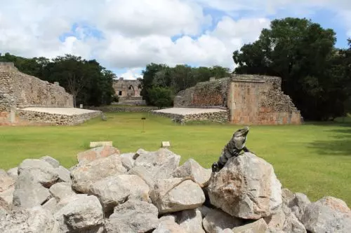 Uxmal-fotogener Leguan.JPG