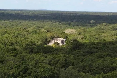 Calakmul-Ausblick von der höchsten Pyramide.JPG