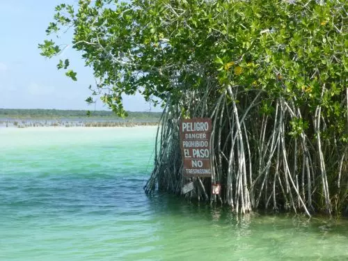 Bacalar-Lagune der 7 Farben.JPG