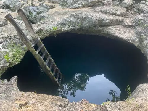 Cenote Calavera Tulum.JPG